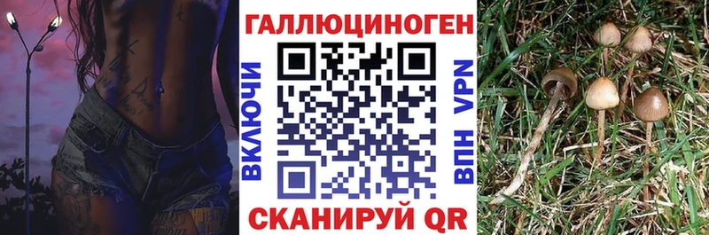 darknet телеграм  цена наркотик  блэк спрут как зайти  Балаково  Галлюциногенные грибы ЛСД 